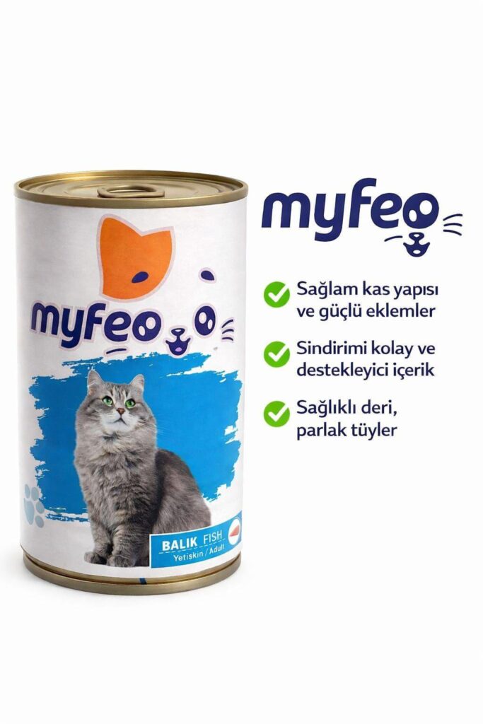 WhatsApp Image 2026-01-22 at 23.53.18