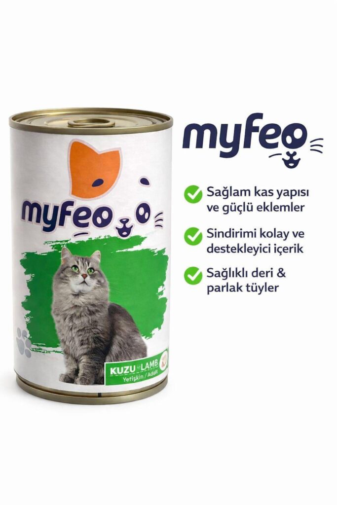 WhatsApp Image 2026-01-22 at 23.53.19 (1)