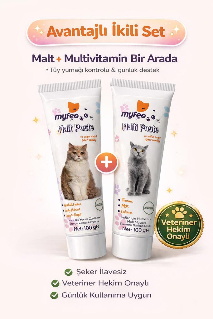 WhatsApp Image 2026-01-25 at 20.34.31 (1)