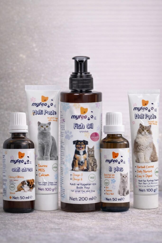 WhatsApp Image 2026-01-25 at 20.34.32 (1)