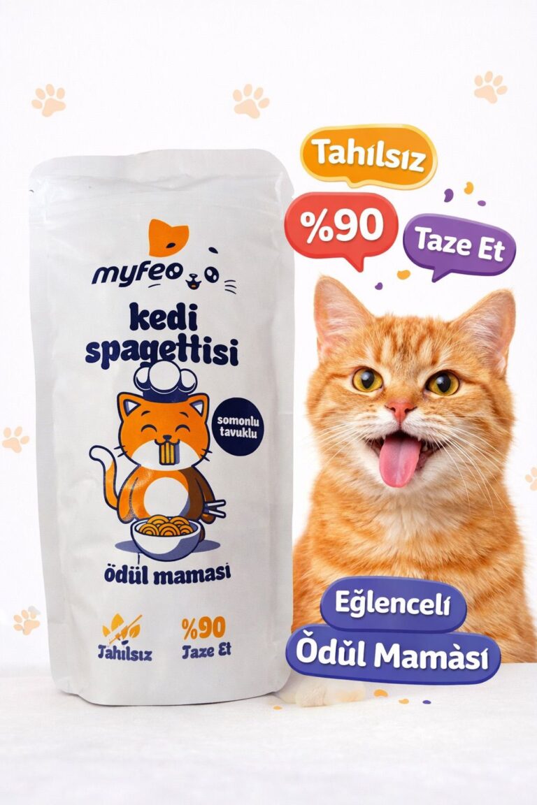 WhatsApp Image 2026-01-25 at 20.54.45 (1)