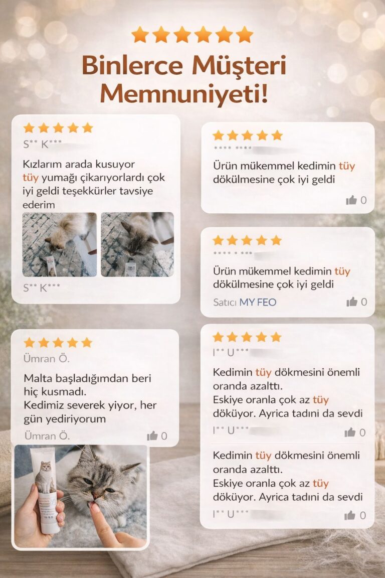 WhatsApp Image 2026-01-25 at 21.34.18 (1)