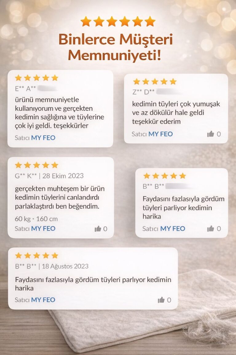 WhatsApp Image 2026-01-25 at 21.34.18 (3)