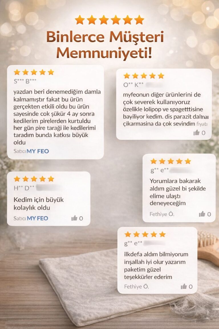 WhatsApp Image 2026-01-25 at 21.34.18 (4)